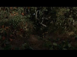 tarzan s02e25 alex the great