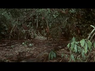 tarzan s02e20 end of a challenge